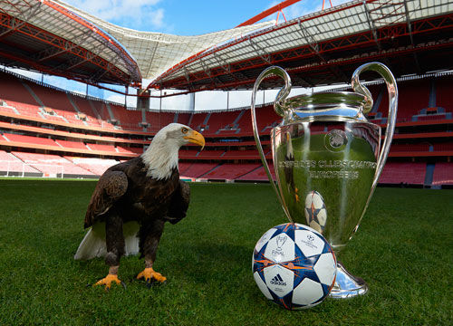 化与趣味性 化与趣味性