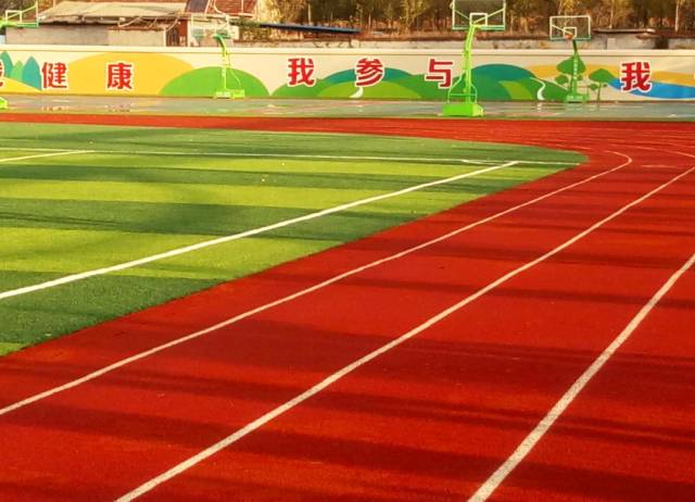 这种坚韧和 这种坚韧和